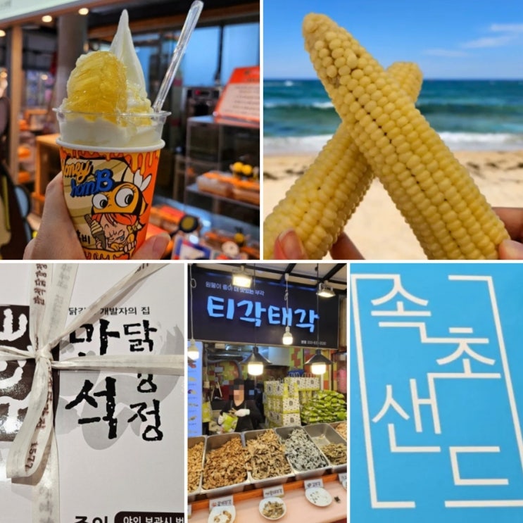  속초가면 꼭 먹어야 하는 간식  | 벌집아이스크림 속초샌드 티각태각 만석닭강정