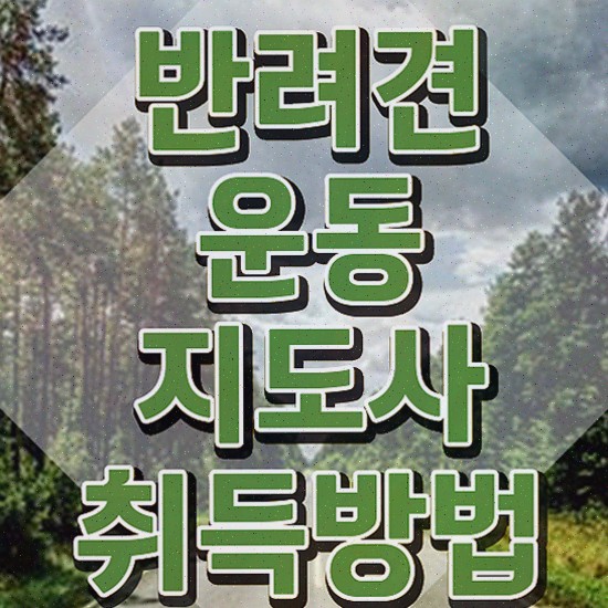  반려견운동지도사자격증 준비한 방법 , 교육기관