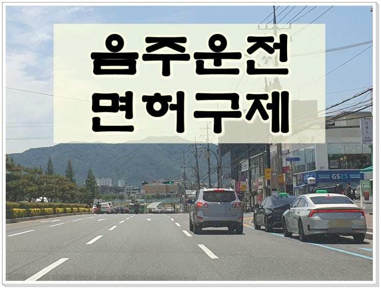  음주운전면허취소기간 2년 그 이유와 줄이는 방법