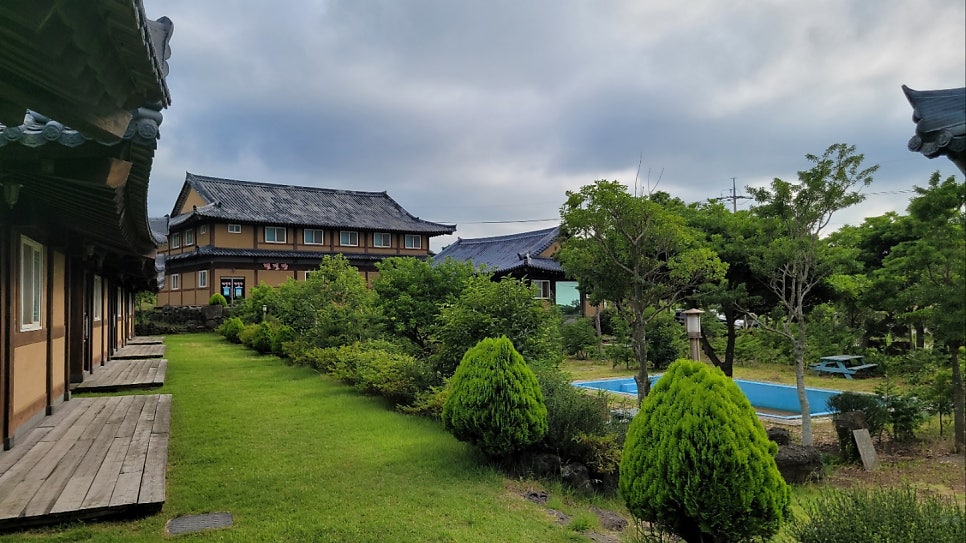 편백나무 한옥펜션 먼나머루 사진 2