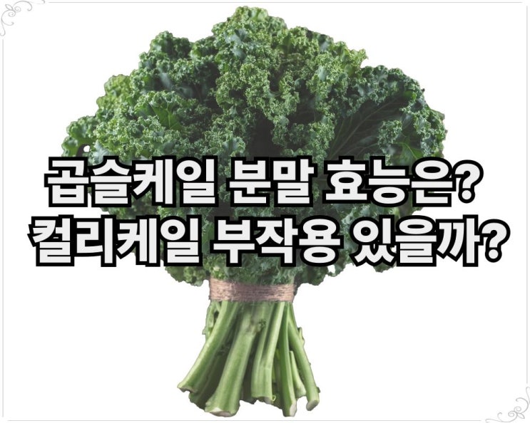  곱슬케일 분말 효능은? 컬리케일 부작용 있을까?