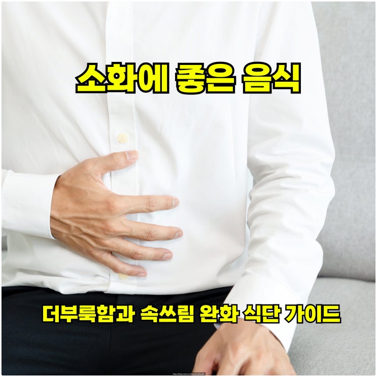  소화에 좋은 음식 – 더부룩함과 속쓰림 완화 식단 가이드