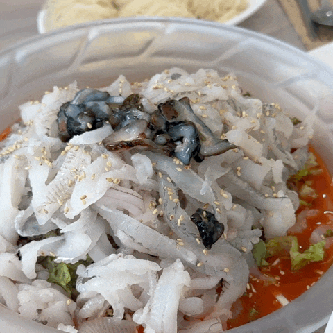  강원도 고성 물회 맛집 부부횟집 메뉴, 가격, 주차