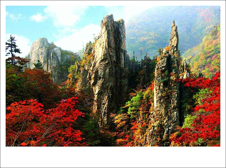 천하제일 명산 '<b>금강산</b>', 북한 <b>유네스코 세계유산 등재</b>.