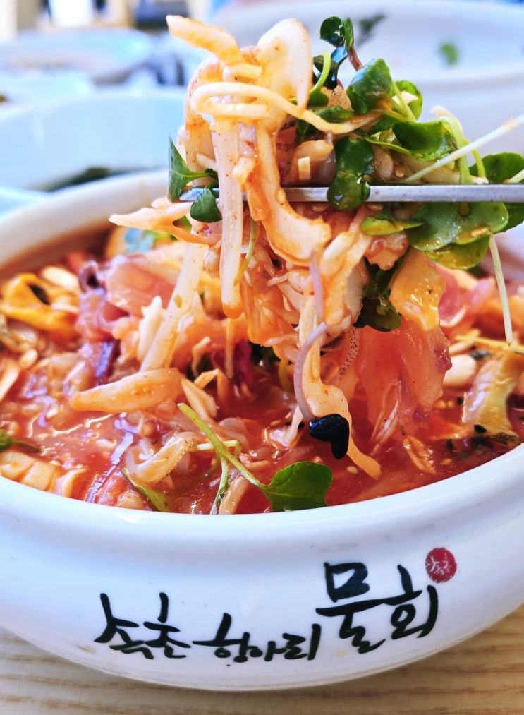  속초중앙시장주변 물회맛집 멋진 뷰와 해산물이 한가득! 속초항아리물회
