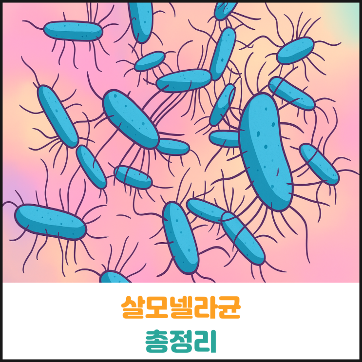  살모넬라균 총정리