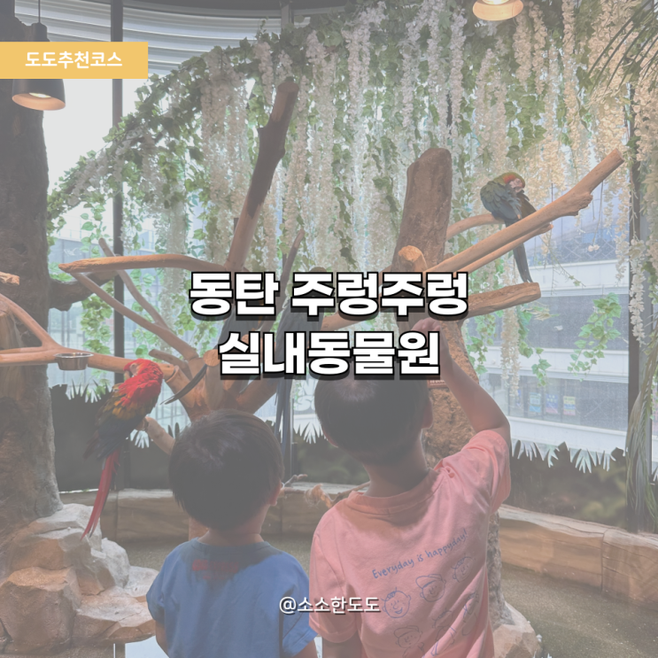  [도도추천코스] 동탄 주렁주렁 실내 동물원 리뷰｜아이와 동물교감+키즈카페까지!