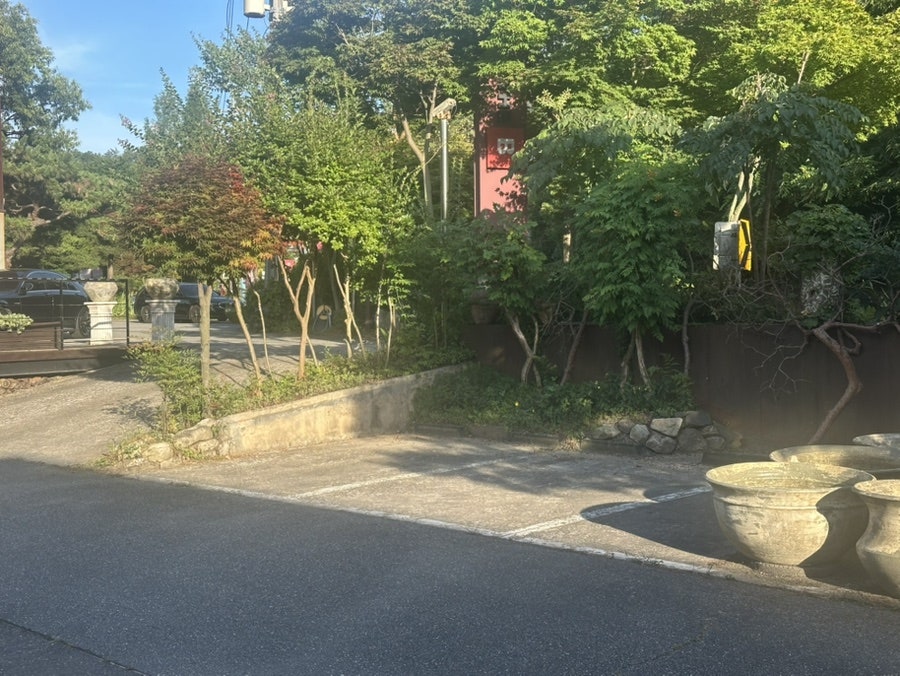 더비 사진 4