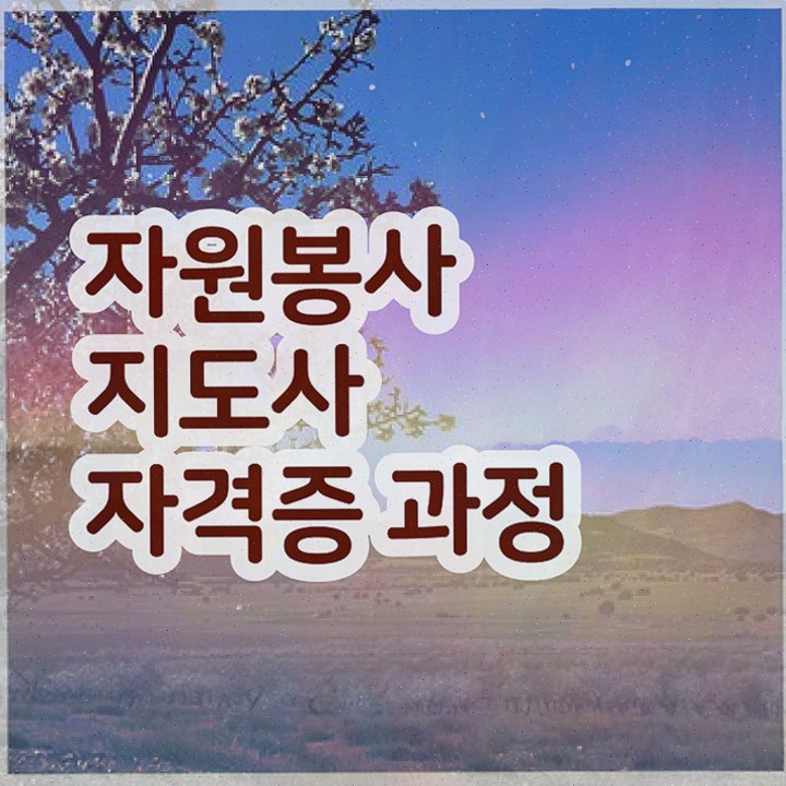  , 자격증 1급,2급 동시에 취득한 노하우 및 전망