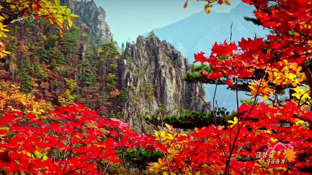 금강산, 이제 세계가 함께 지킨다 – 유네스코 등재의 진짜 의미