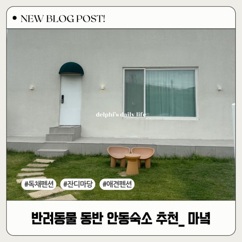 사진 2
