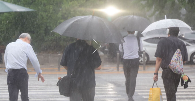  “장마 끝났는데 왜 또 폭우?”…여름 비의 절반은 장마 후에 온다 ️