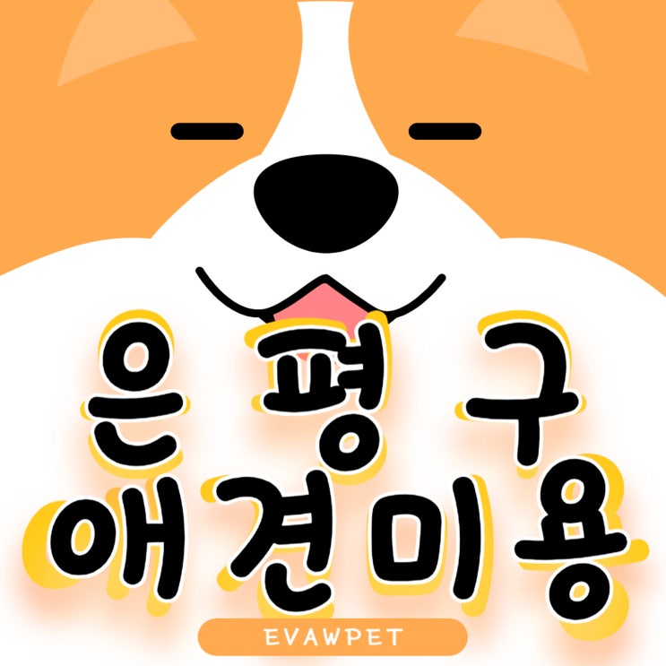  은평구애견미용학원 취업과 창업을 꿈꾼다면!? 필독!