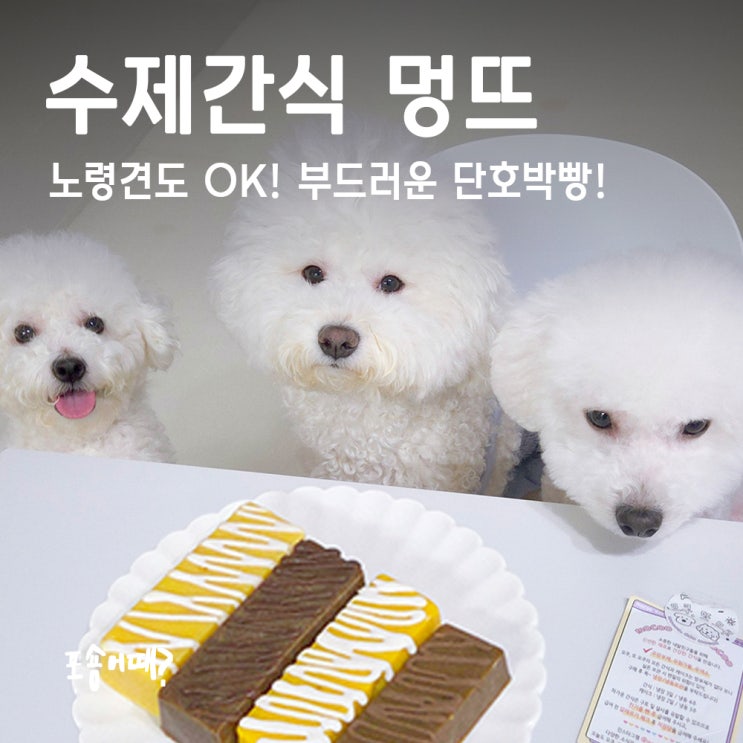  오뜨 수제간식 멍뜨, 강아지빵 단호박향 솔솔~