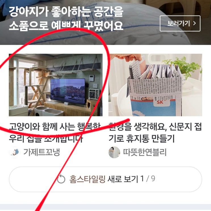  펫블로거 4번째 리빙판 노출 애드포스트와 방자수는?