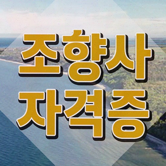  , 구체적인 조향사 취득 정보