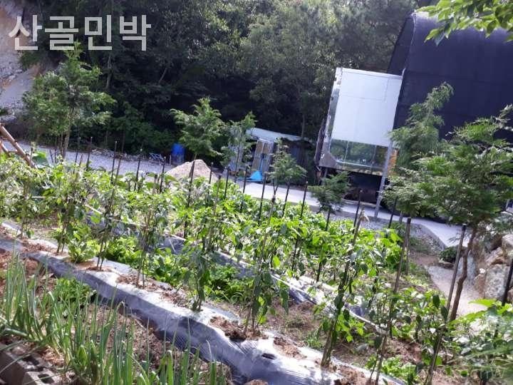 산골 사진 2
