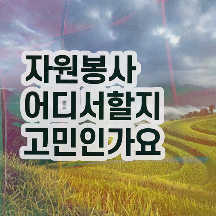  자원봉사 지도사 , 자원봉사지도사 자격증 1급,2급 동시에 취득한 방법