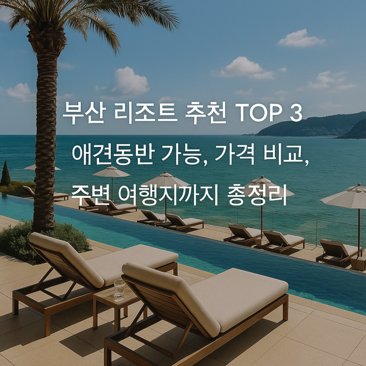  "부산 리조트 추천 TOP3 | 애견동반 가능, 가격 비교, 주변 여행지까지 총정리!"