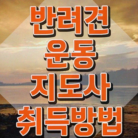  20일 만에 반려견운동지도사자격증 합격한 후기