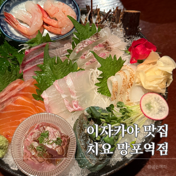  망포역술집 치요｜숙성사시미와 꼬치가 맛있는 감성 이자카야