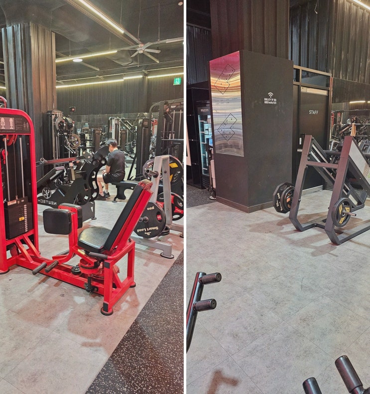  벌키짐 PT&헬스 시청점, 친구와 함께하는 특별한 부산시청 헬스장 경험
