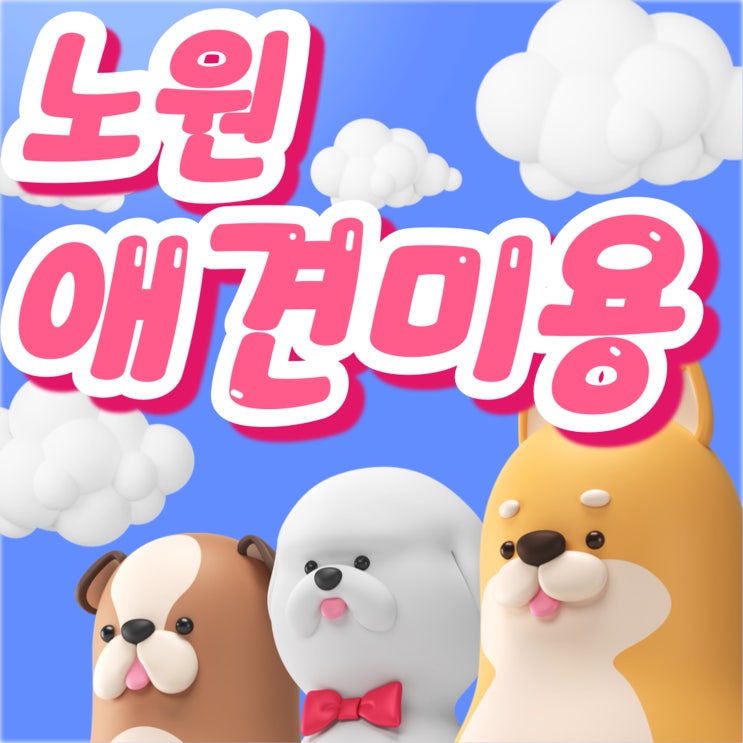  노원애견미용학원 국비보다 효율적인 교육 커리큘럼