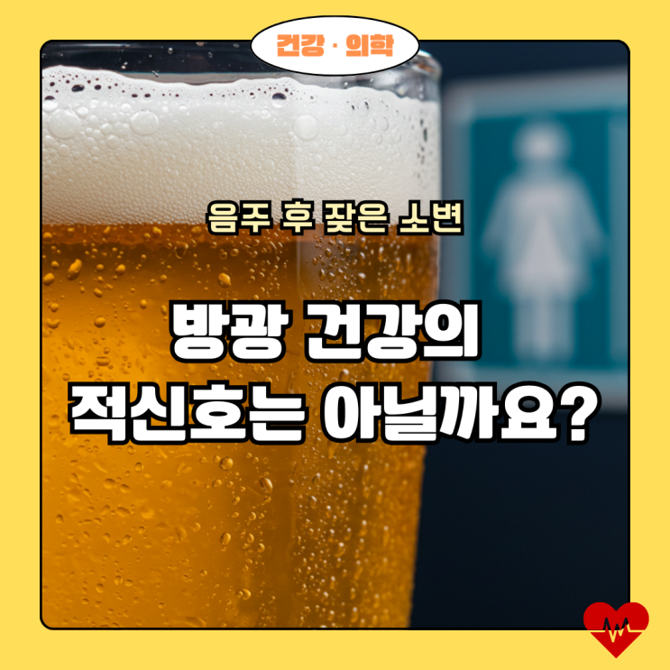  술 마시면 왜 화장실을 자주 갈까? 숨겨진 방광의 비밀!