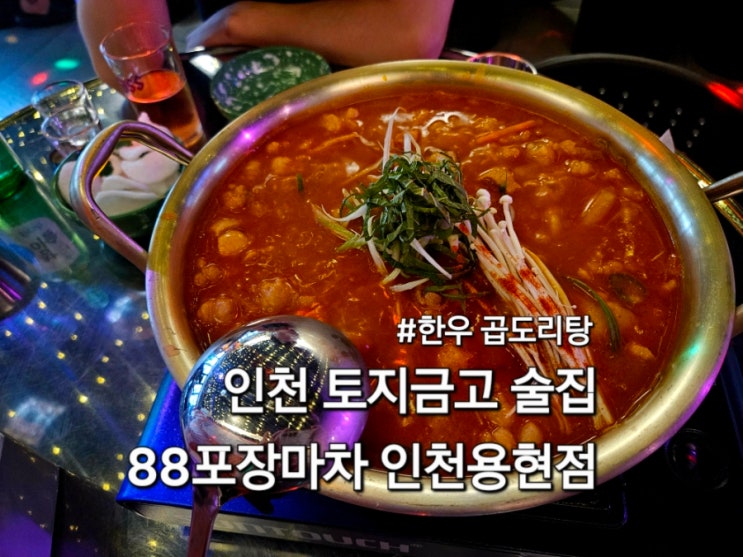  토지금고술집 88포장마차 인천용현점 한우곱도리탕맛집