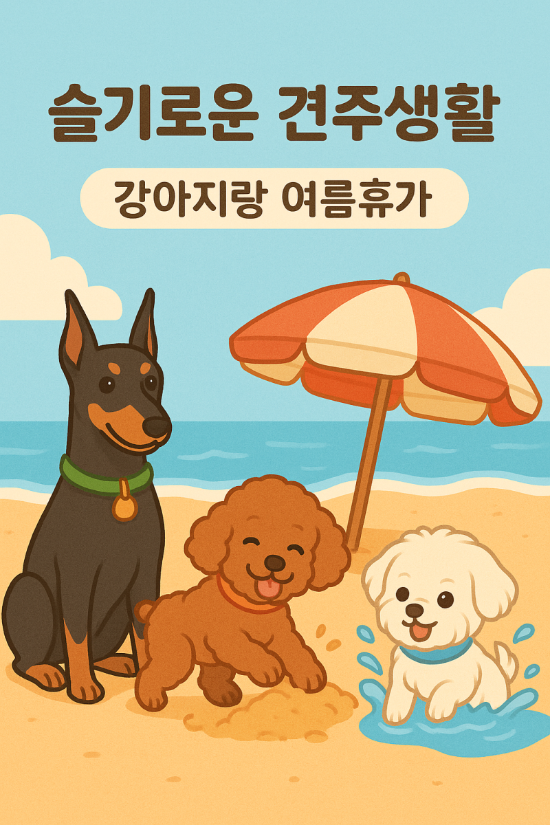 사진 8