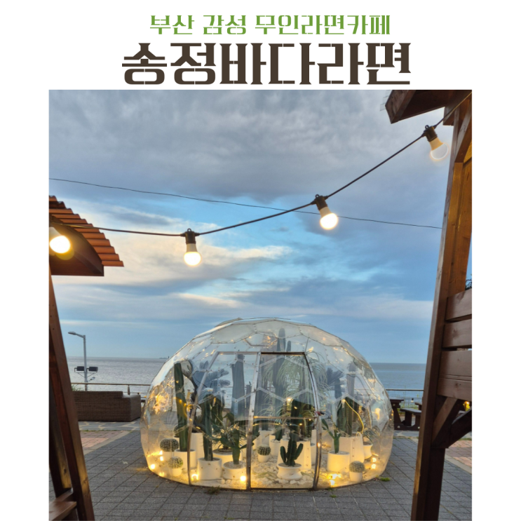  부산 바다앞 무인라면 송정 바다라면