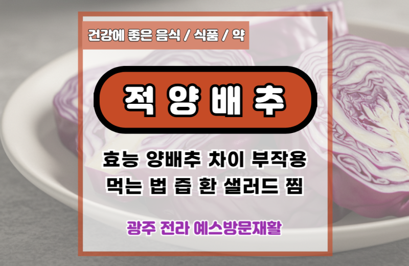 적양배추 효능, 양배추 차이, 부작용, 먹는 법, 즙, 환, 샐러드, 찜