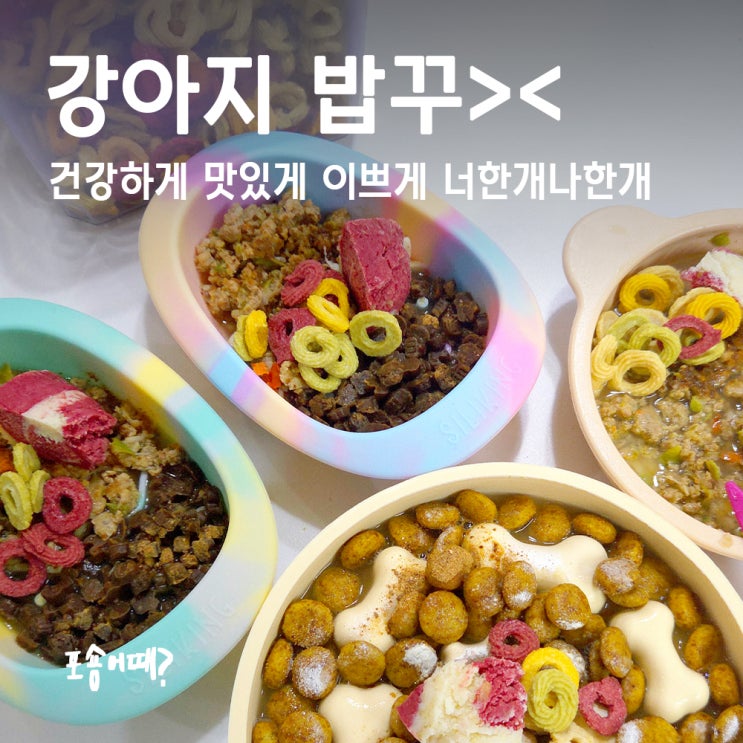  너한개나한개 강아지수제간식으로 밥꾸 완성했어요!