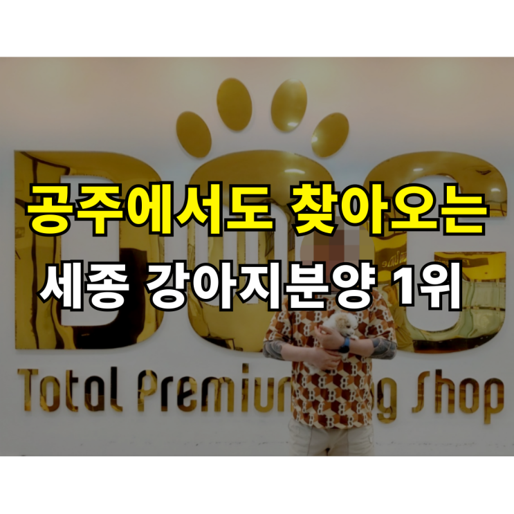  공주에서 강아지 분양 받으려면 세종까지 가는 이유가 뭘까요? 11년째 강아지분양만 원독 애견분양 센터 푸숑 분양 후기