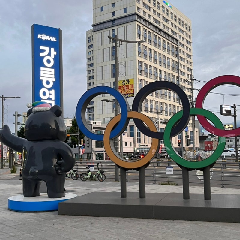 사진 11