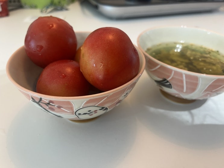  250714 오늘의 점심 : 오챠즈케