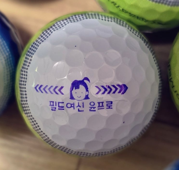  골프 필드용품~ 타이틀리스트 골프공 PROV1 스탬프 도장 인쇄 주문제작   리뷰 내돈내산 블로거
