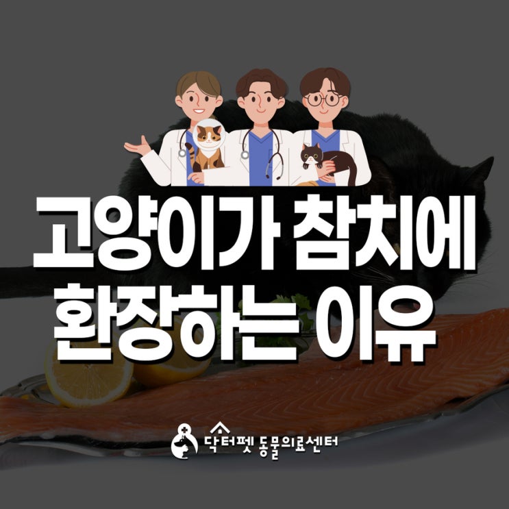  사막에 살던 고양이가 왜 참치에 저렇게 환장할까? 고양이와 감칠맛