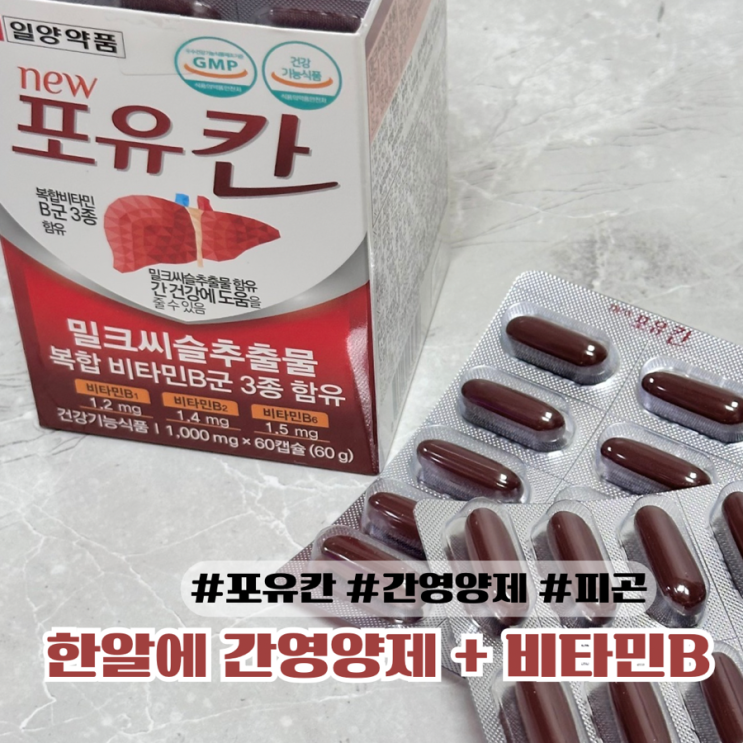  피로에 좋은 영양제 간영양제와 비타민 어떤 거? 한알에 둘다챙기는 효자템!