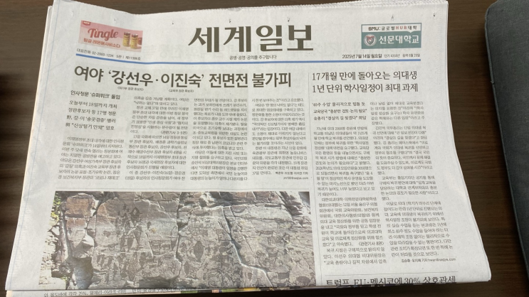 20250714 세계일보, 조선일보, 한겨레신문 사설 요약 및 분석