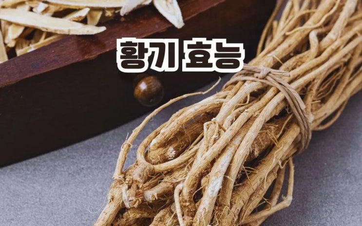  황기 효능 볶은황기 효능 부작용 효능별 황기차 6가지