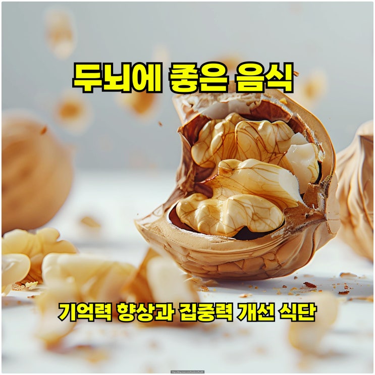  두뇌에 좋은 음식 - 기억력 향상과 집중력 개선 식단