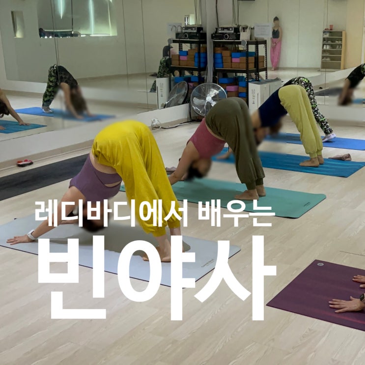  탄현요가 레디바디 탄현에서 배우는 빈야사 플로우!