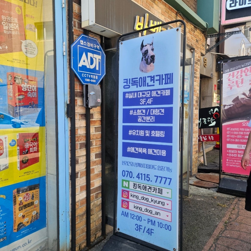 사진 8