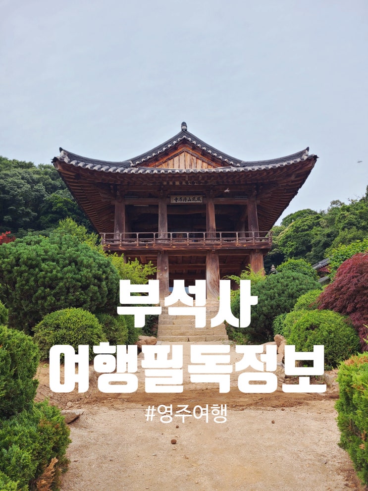 부석사 방문 전 필독 영주 가볼만한 곳, 이렇게 보세요