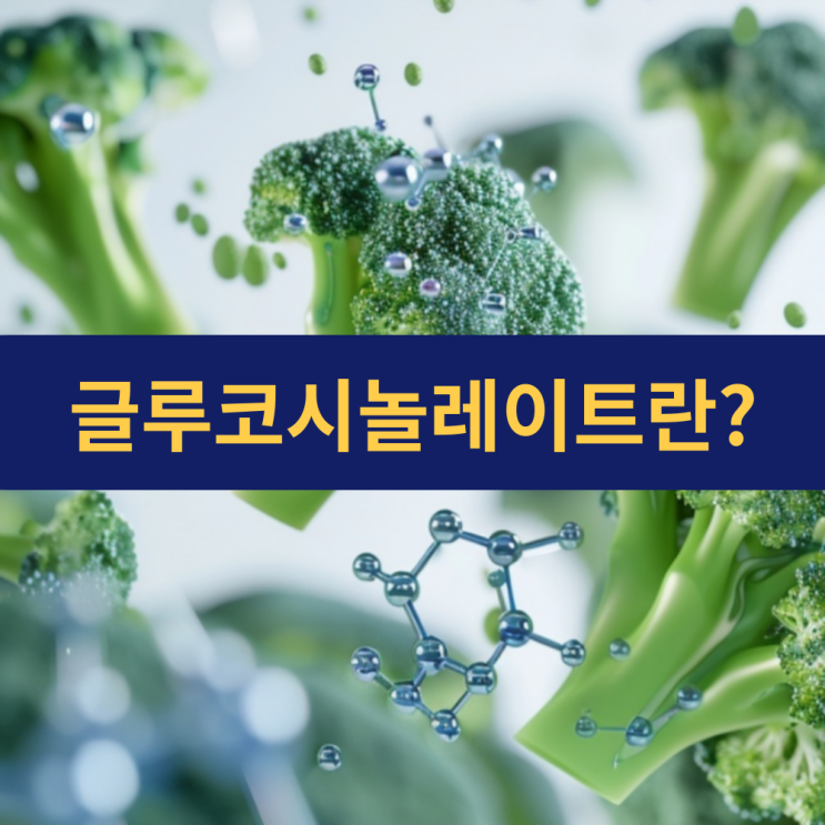  글루코시놀레이트란 무엇인가? | 십자화과 채소가 건강에 좋은 점