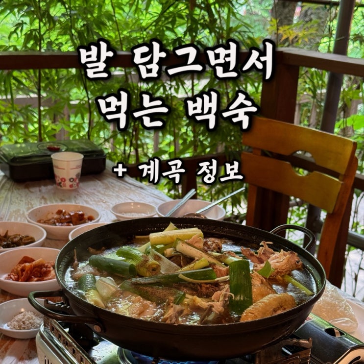  발 담그면서 먹는 닭백숙 폭포수식당 메뉴 주차장 웨이팅 없는 솔직 후기
