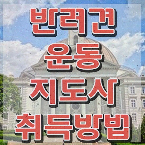  여자 자격증 추천 , 반려견운동지도사 동영상 과정으로 편하게 완료한 방법