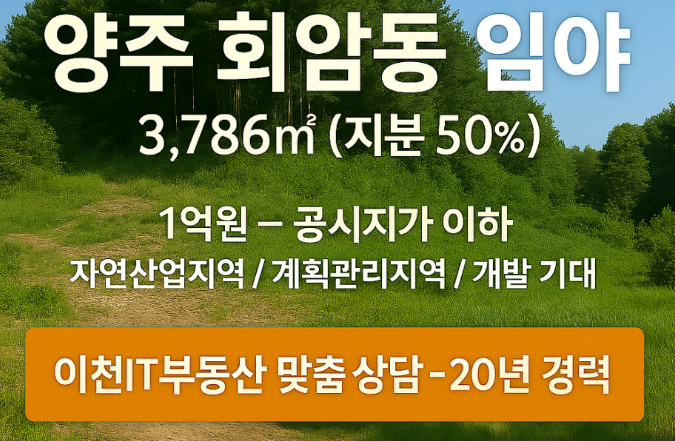   양주 회암동, 미래 가치 품은 임야 지분 매매!  공시지가 이하 급매! 1억원으로 투자 기회 잡으세요! 