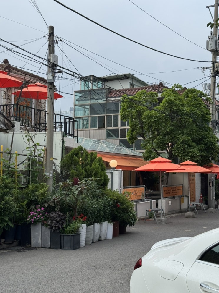  용리단길 대형카페 추천 카페슈스 용산점 땡땡거리 인근 (포토존, 이벤트까지!)